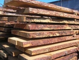 столярная доска из липы
